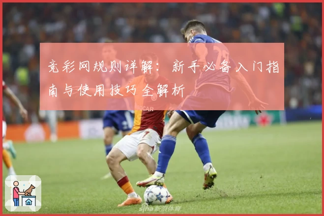 竞彩网规则详解：新手必备入门指南与使用技巧全解析