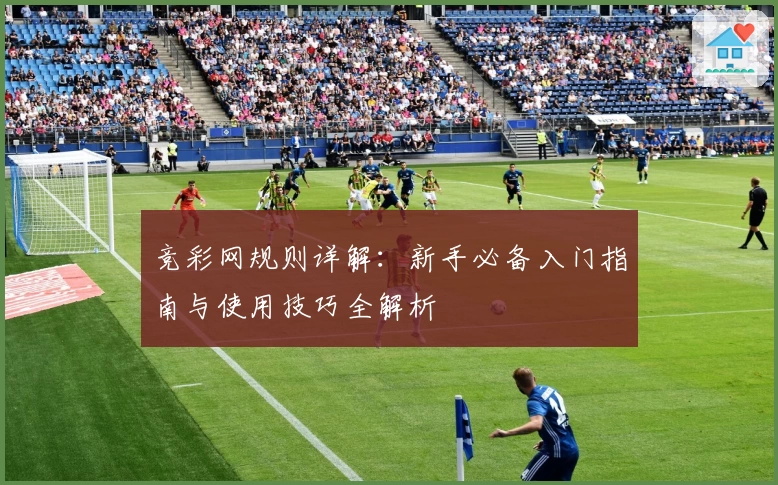 竞彩网规则详解：新手必备入门指南与使用技巧全解析