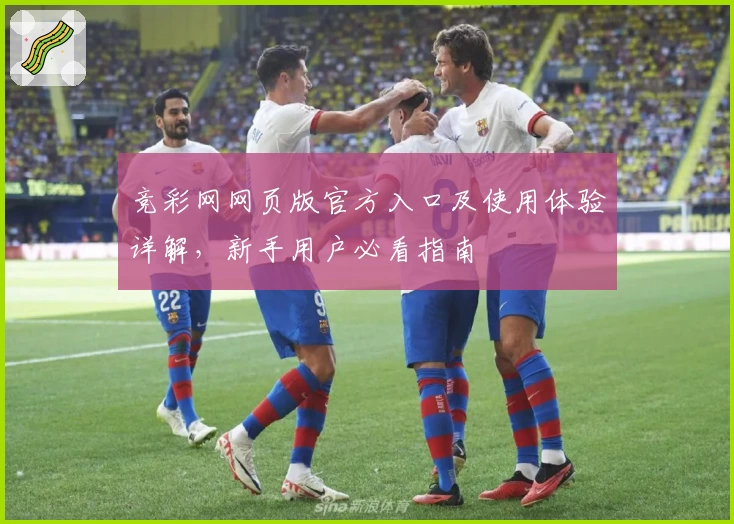 竞彩网网页版官方入口及使用体验详解，新手用户必看指南