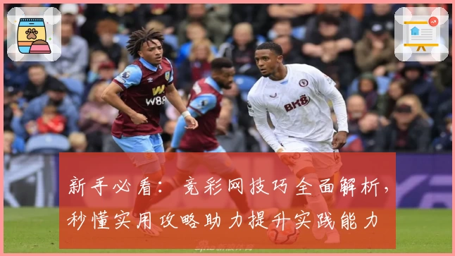 新手必看：竞彩网技巧全面解析，秒懂实用攻略助力提升实践能力